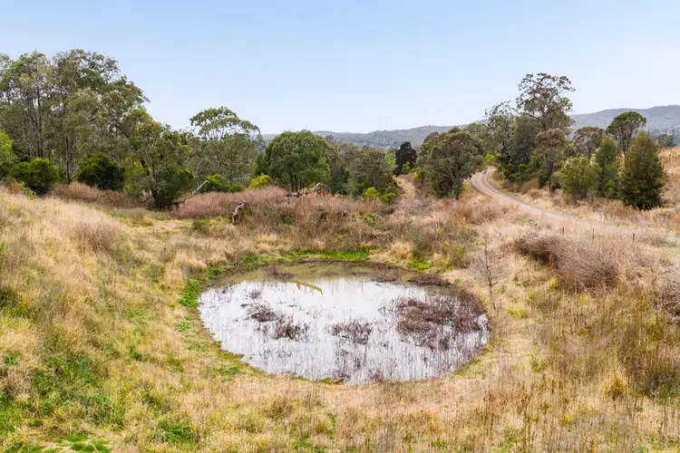 Seventh view of Homely rural property listing, LOT 180, 26 Macginley Road, West Haldon QLD 4359