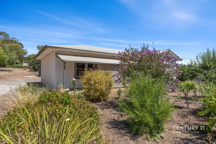 95 Penrice Road, Penrice SA 5353