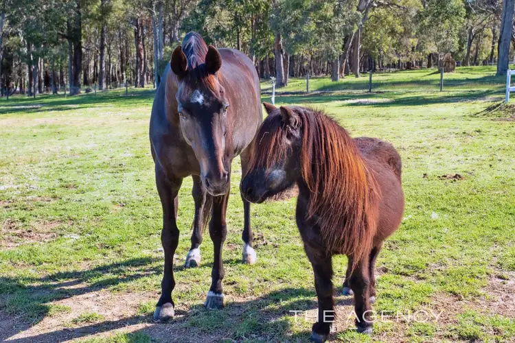 145/185 Bunning Road, Mount Helena WA 6082