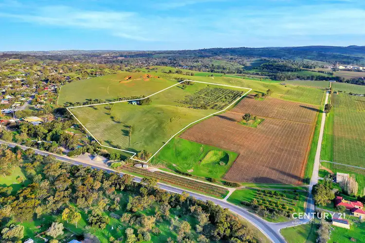 Lot 404 Richard Street, Penrice SA 5353