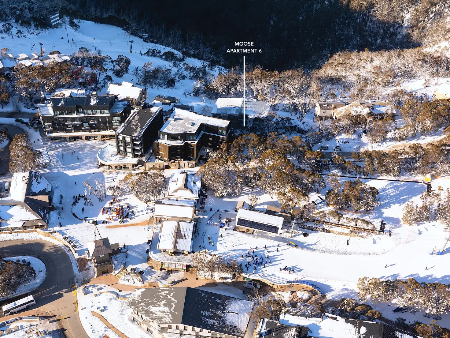 Main view of Homely apartment listing, 6/5 The Avenue, Mount Buller VIC 3723