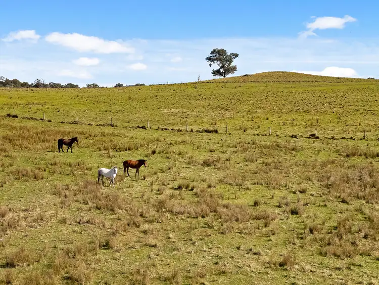 Third view of Homely rural property listing, 270 Kentucky Road, Newry VIC 3859