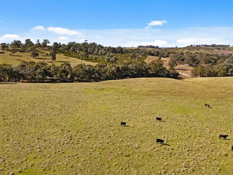 Fourth view of Homely rural property listing, 270 Kentucky Road, Newry VIC 3859