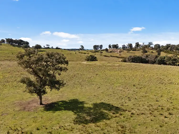 Fifth view of Homely rural property listing, 270 Kentucky Road, Newry VIC 3859