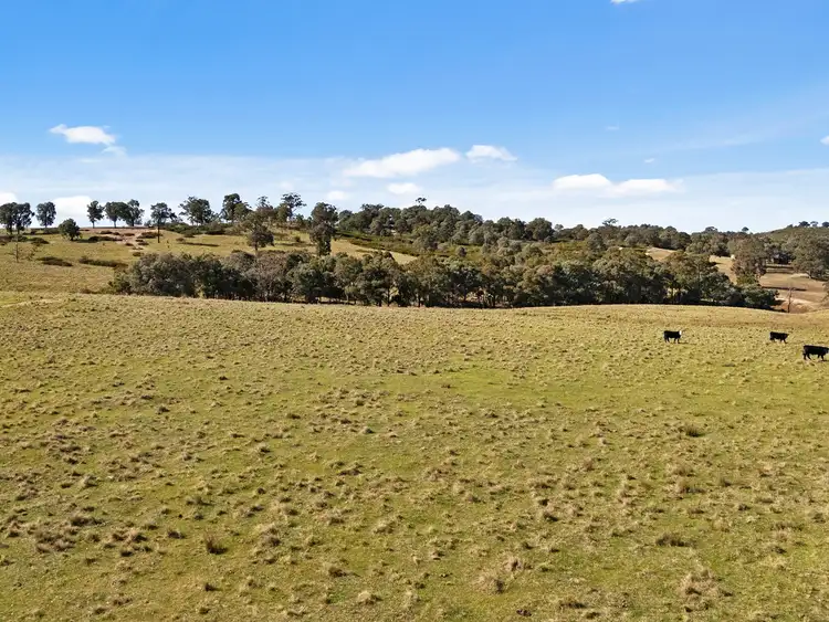 Sixth view of Homely rural property listing, 270 Kentucky Road, Newry VIC 3859