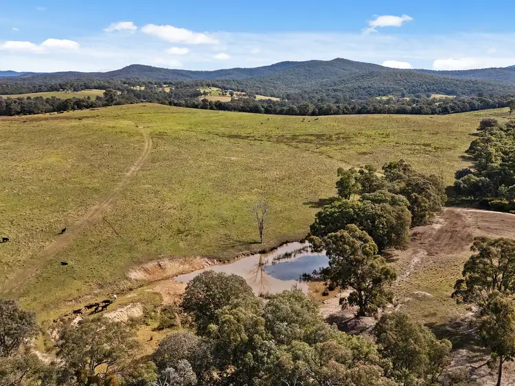 Seventh view of Homely rural property listing, 270 Kentucky Road, Newry VIC 3859