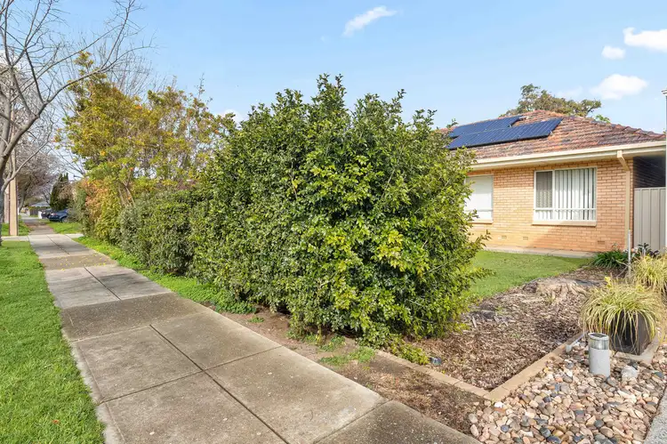 Third view of Homely house listing, 16 Broadmore Avenue, Fulham SA 5024