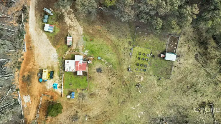 1695 Bendoc-Orbost Road, Bendoc VIC 3888