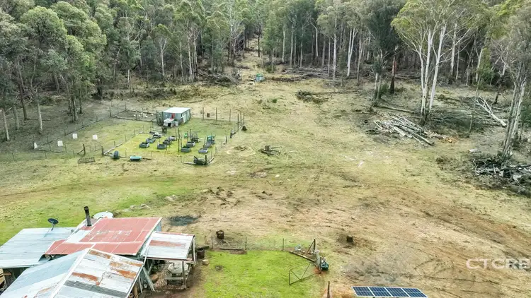 Second view of Homely rural property listing, 1695 Bendoc-Orbost Road, Bendoc VIC 3888