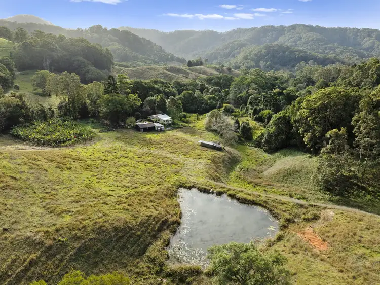 536 Cudgera Creek Road, Cudgera Creek NSW 2484