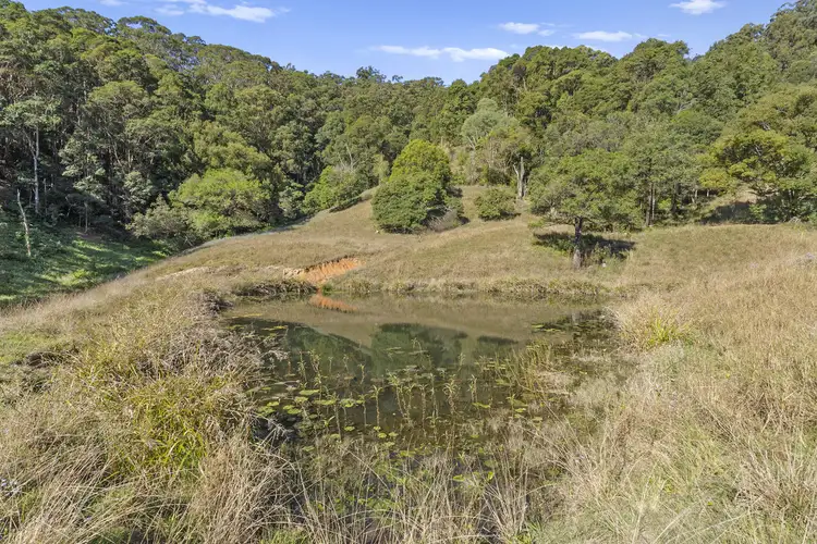 Second view of Homely rural property listing, 536 Cudgera Creek Road, Cudgera Creek NSW 2484