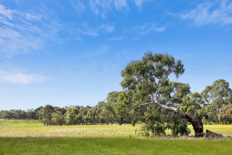Fourth view of Homely house listing, 575 Pettavel Road, Freshwater Creek VIC 3217