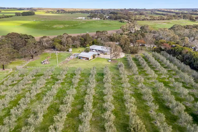 Sixth view of Homely house listing, 575 Pettavel Road, Freshwater Creek VIC 3217