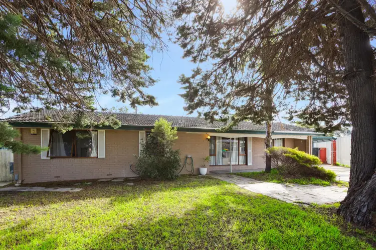 Second view of Homely house listing, 17 Macedon Place, Craigie WA 6025