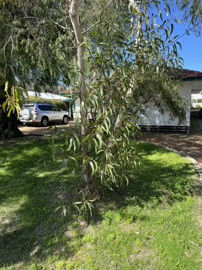Fifth view of Homely house listing, 92 Hester Street, Geographe WA 6280