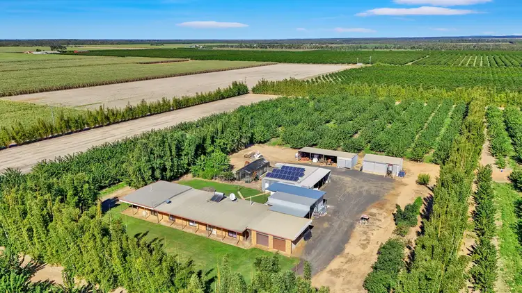 243 Wises Road, Alloway QLD 4670