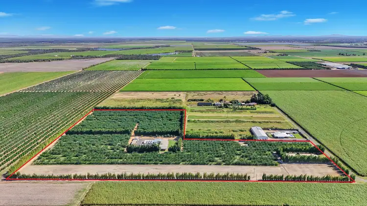 243 Wises Road, Alloway QLD 4670