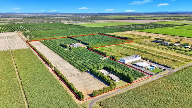 243 Wises Road, Alloway QLD 4670