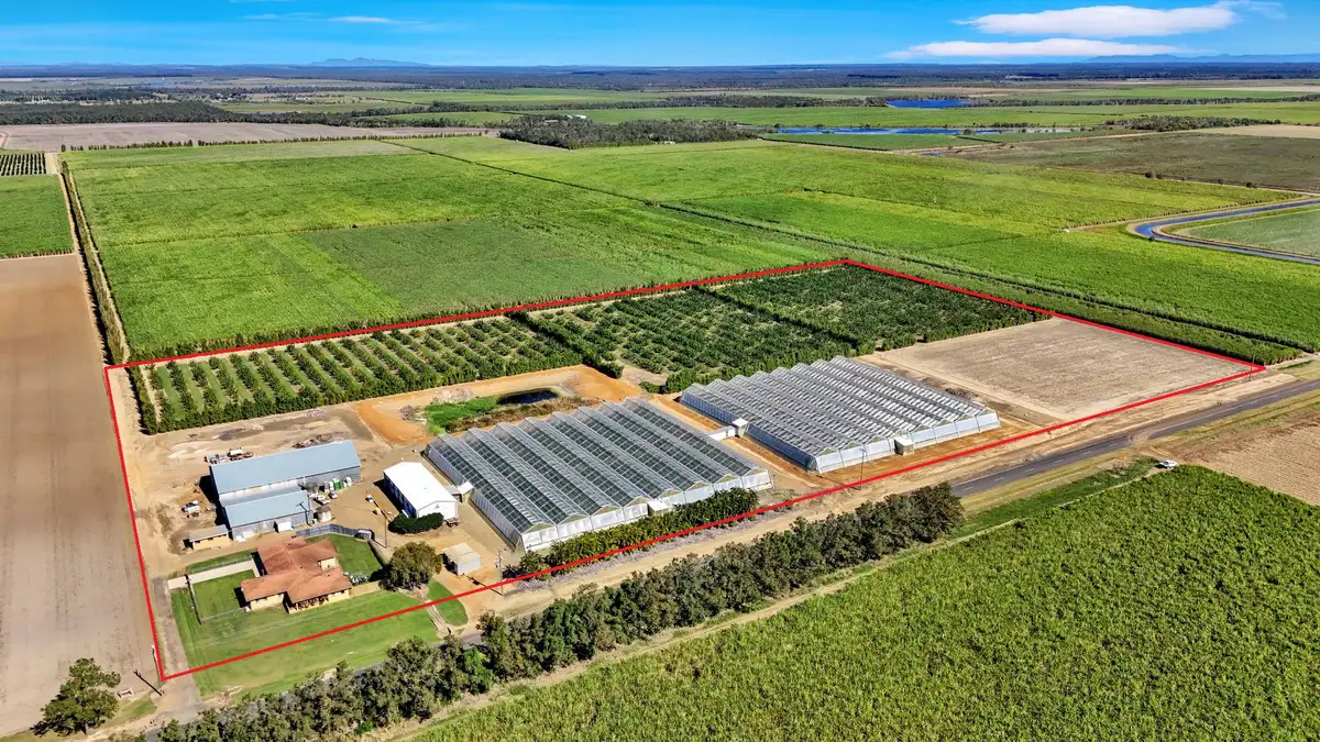 Main view of Homely rural property listing, 345 Wises Road, Alloway QLD 4670