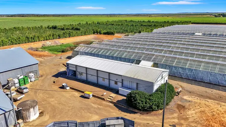 Third view of Homely rural property listing, 345 Wises Road, Alloway QLD 4670