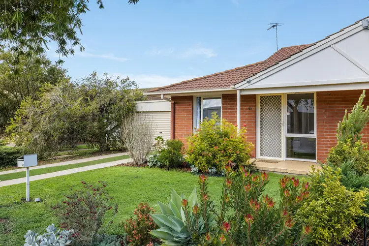 Main view of Homely house listing, 41 Simpson Avenue, Devon Park SA 5008
