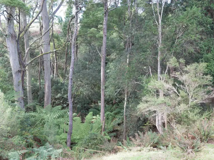 Sixth view of Homely rural property listing, 404 Hardmans Road, Mella TAS 7330