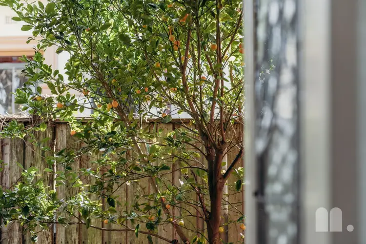 Second view of Homely house listing, 62 Church Street, Mayfield NSW 2304