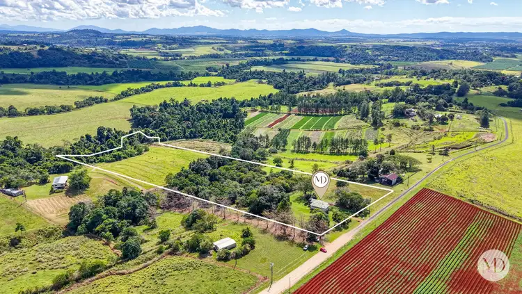 Third view of Homely house listing, 65 Daly Road, Camp Creek QLD 4871