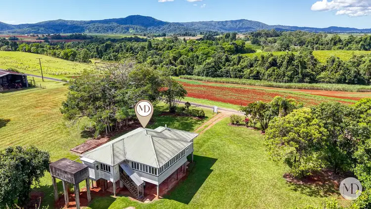 Sixth view of Homely house listing, 65 Daly Road, Camp Creek QLD 4871