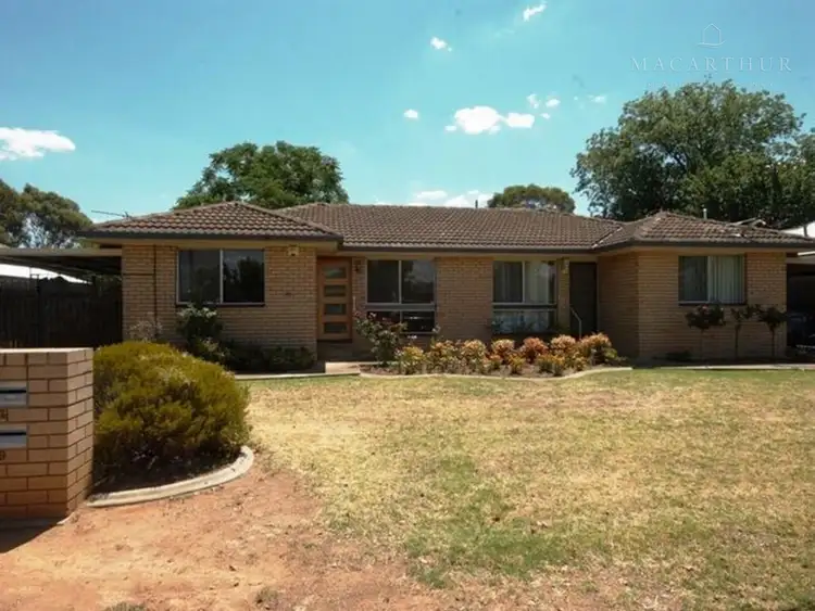 7/36 Murray Street, Wagga Wagga NSW 2650