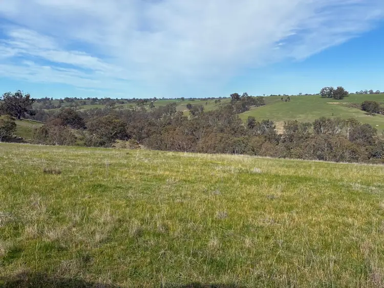 Fourth view of Homely rural property listing, 240 Harrow-Clear Lake Road, Harrow VIC 3317