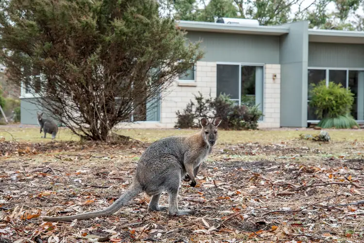 Fifth view of Homely rural property listing, LOT Lot 1, 250 Hoffmanns Road, Mooralla VIC 3314