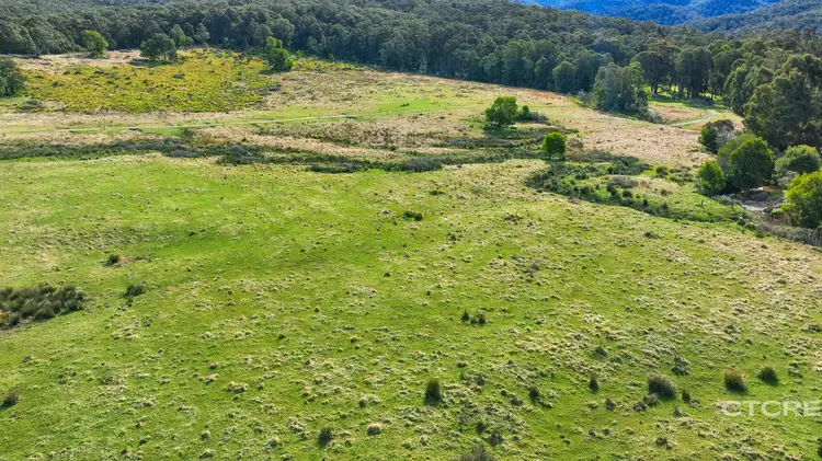 Fourth view of Homely rural property listing, 3153 Combienbar Road, Combienbar VIC 3889