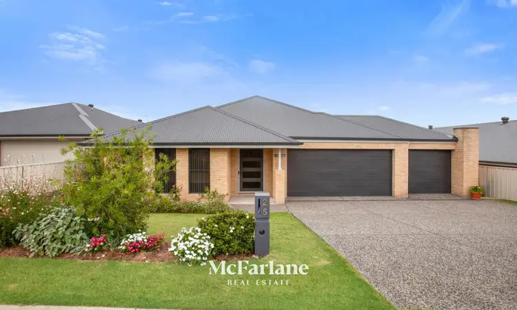 25 Stayard Drive, Bolwarra Heights NSW 2320