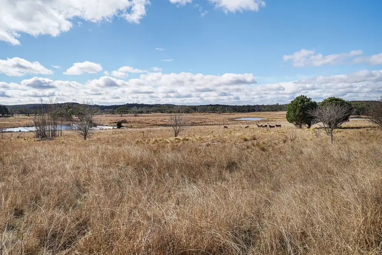 Fifth view of Homely rural property listing, 2339 Mayfield Road, Lower Boro NSW 2580
