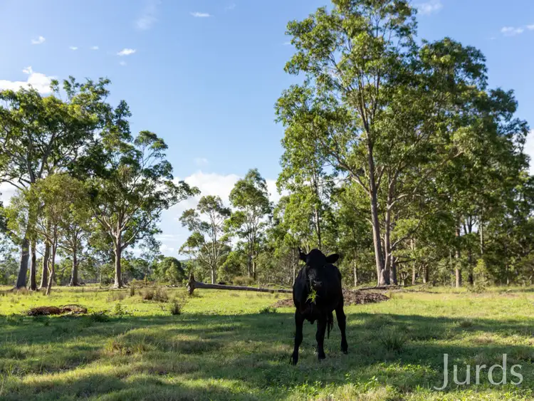 Third view of Homely rural property listing, LOT 7, 347 East Seaham Road, East Seaham NSW 2324