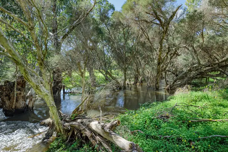 Fourth view of Homely house listing, 51 Bisdee Road, Millendon WA 6056