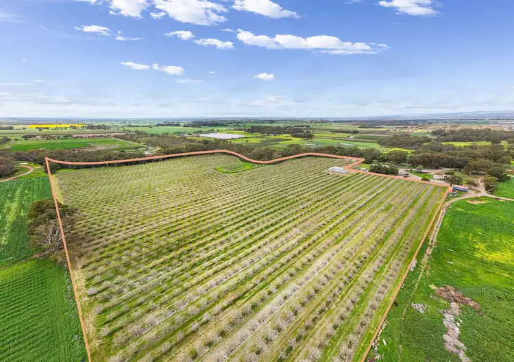 LOT 284 Chivell Road, Angle Vale SA 5117