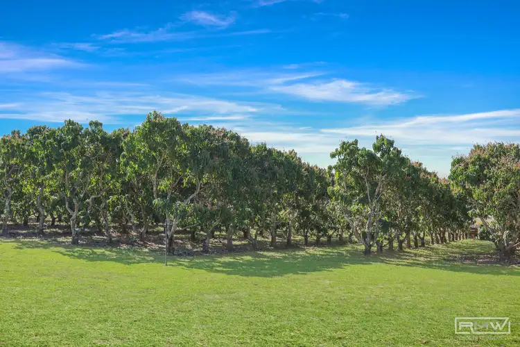 Fourth view of Homely rural property listing, 271 Browns Lane, Farnborough QLD 4703