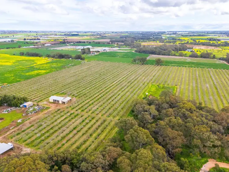 Second view of Homely land listing, 284 Chivell Road, Angle Vale SA 5117