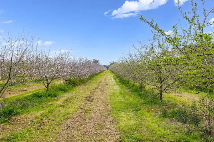Third view of Homely land listing, 284 Chivell Road, Angle Vale SA 5117