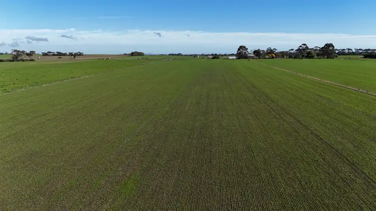 Second view of Homely rural property listing, 321 Larpent Road, Cororooke VIC 3254