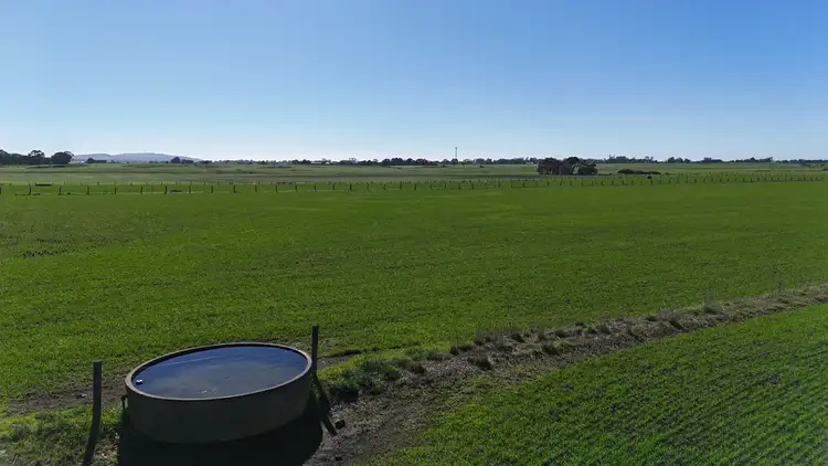 Third view of Homely rural property listing, 321 Larpent Road, Cororooke VIC 3254