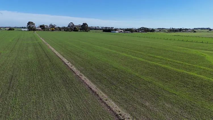 Fifth view of Homely rural property listing, 321 Larpent Road, Cororooke VIC 3254