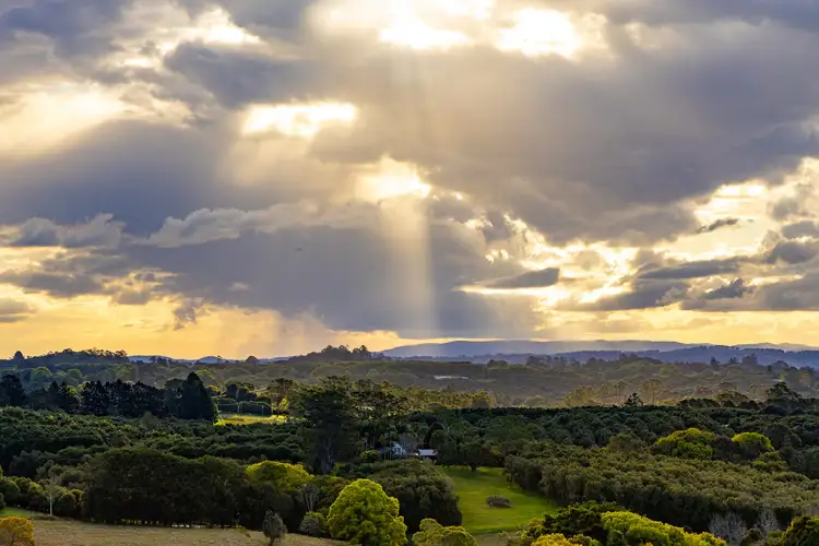 519 Pearces Creek Road