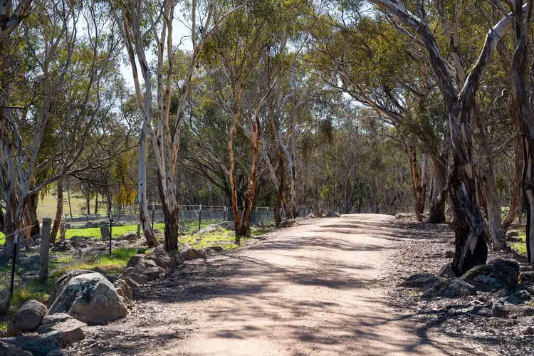 Fifth view of Homely rural property listing, 354 Cemetery Road, Eldorado VIC 3746