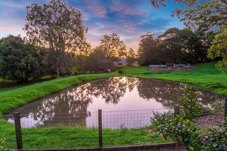 Fifth view of Homely rural property listing, 228 Shaws Pocket Road, Cedar Creek QLD 4207