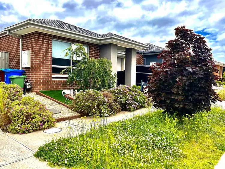 17 Serengeti Street, Clyde North VIC 3978