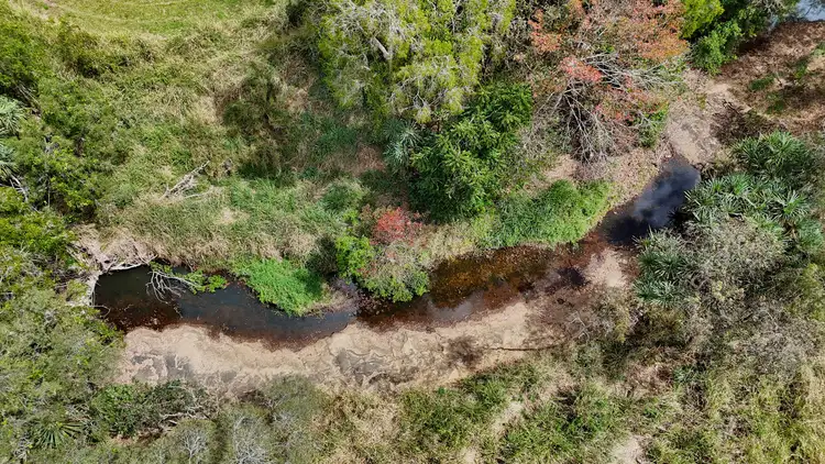 Third view of Homely rural property listing, 2830 Bruce Highway, Hampden QLD 4741