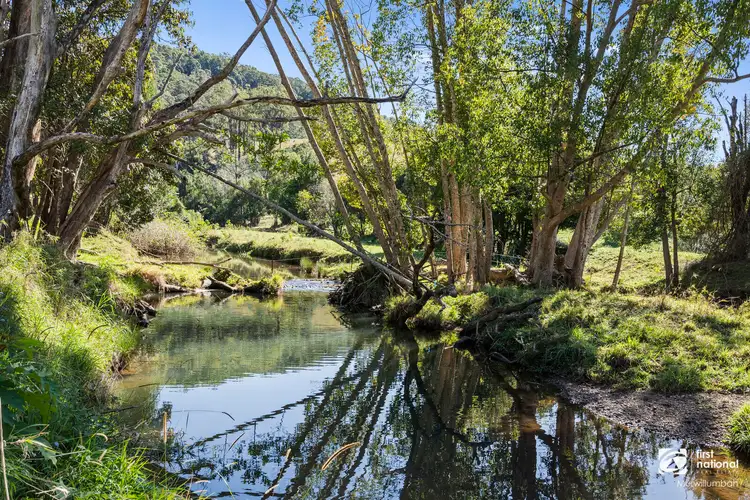 Third view of Homely rural property listing, 517 Upper Burringbar, Upper Burringbar NSW 2483